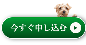 今すぐ申し込む